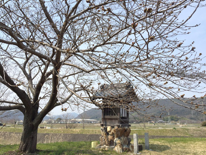 20160324-nagaragawa-satoyama1.jpg